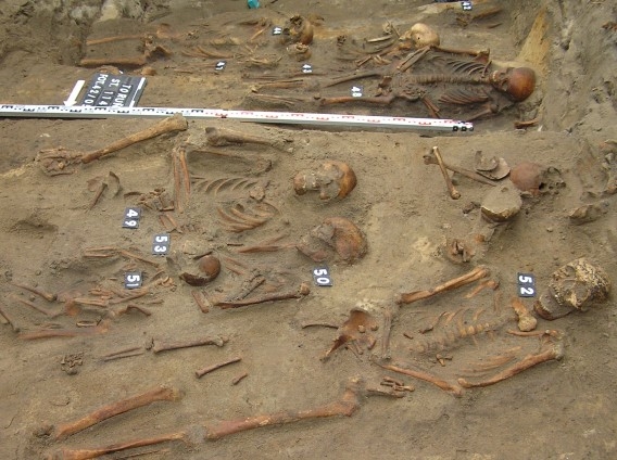 Anthropology phd thesis